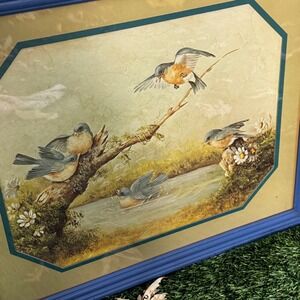 Vintage Framed Bird Print Wall Art Coastal Cottage Lakeside Blue Frame